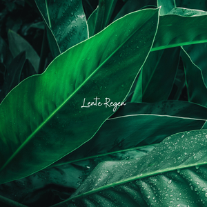Lente Regen