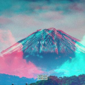 3000