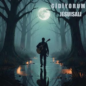 Gidiyorum