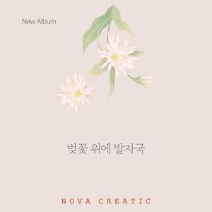 벚꽃 위에 발자국
