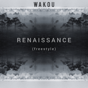 Renaissance (freestyle)