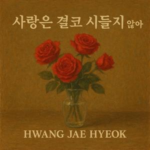 사랑은결코시들지않아