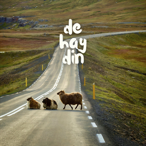 De Haydin