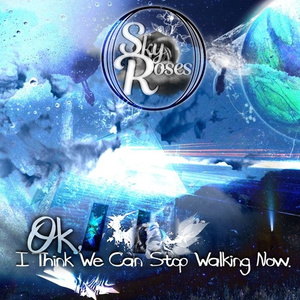 OK, I Think We Can Stop Walking Now