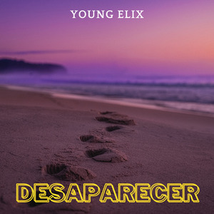 Desaparecer