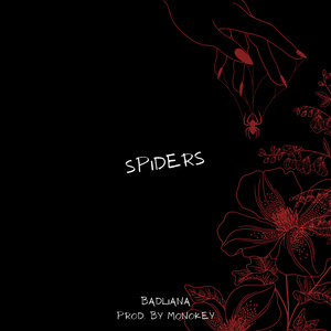 Spiders