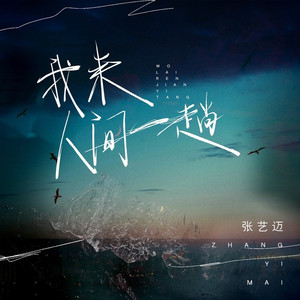 我来人间一趟 (DJ九零版)