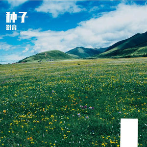成功