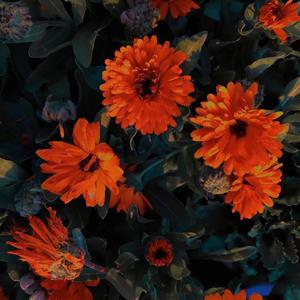 Save some time for yourself