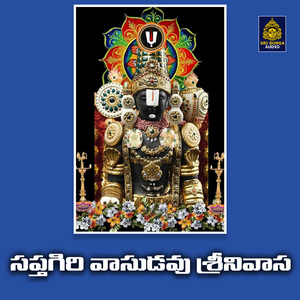 Saptagiri vasudavu Srinivasa
