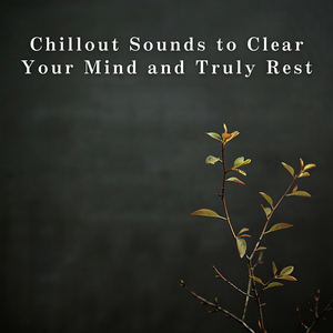 A Pause in Gentle Shades