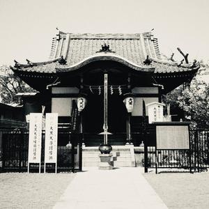 Silver Halide Silence