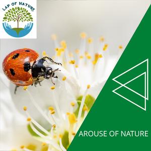 The Sound Of Wolf Park