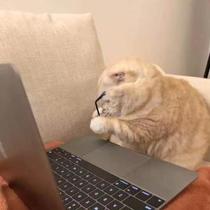 走马(尤克里里版)