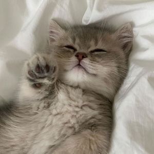 迷幻漩涡 Type Beat