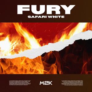 Fury