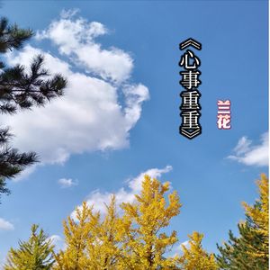 心事重重
