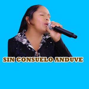 SIN CONSUELO ANDUVE
