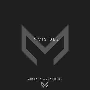 Invisible