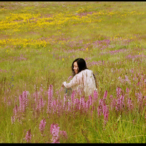 白头吟—周雪梅