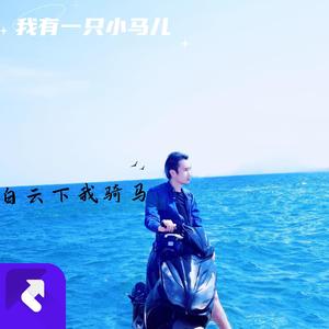 我有一只小马儿