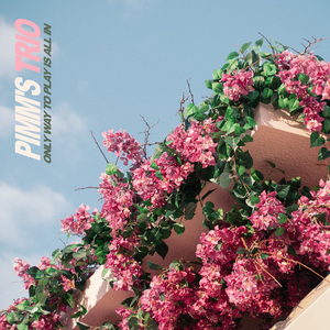 Only Way To Play Is All In