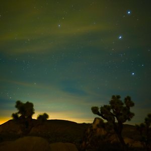 来客（Cover：裘德/不才）