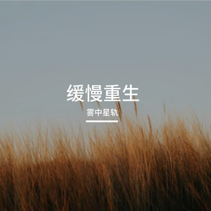 写给河洛的书简——写给河南卫视“中国节日”系列五年，致敬那些让华夏文明重新“活过来”的人。