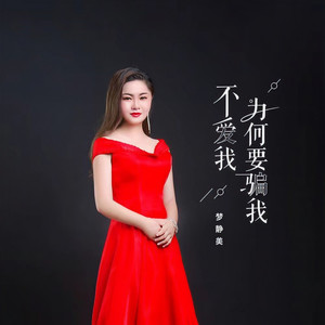 不爱我为何要骗我