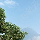 我的心在那一方自由