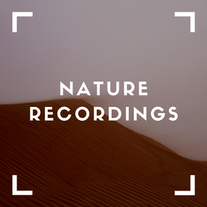 Serenity Of The Mind