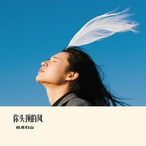 你头顶的风(Cover 王小帅)