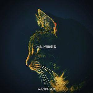 有趣放松的猫情怀
