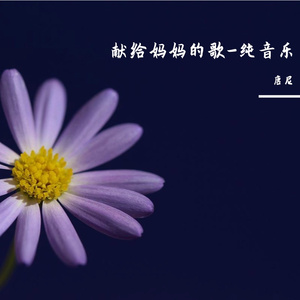 献给妈妈的歌（钢琴纯音乐）