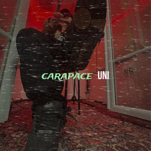 carapace