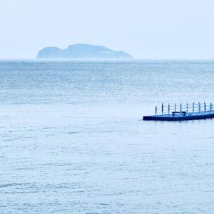 阳光彩红小白马