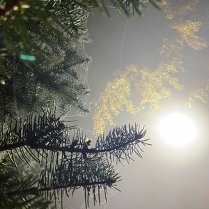 Тонкая - паутинка