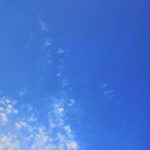 对酒当歌，我只愿开心到老