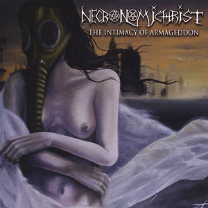 Wolf and the Winter Cold