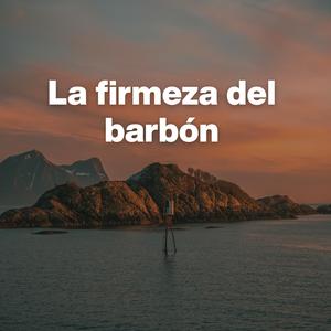 La firmeza del barbón