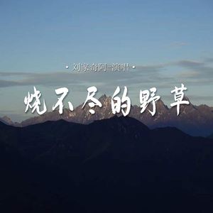 烧不尽的野草
