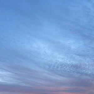 Free trap beat "unwill" free beat