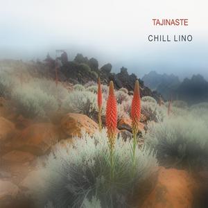 Tajinaste
