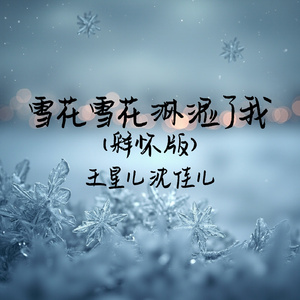 雪花雪花淋湿了我(释怀版)