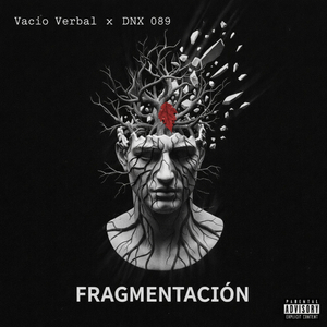 Fragmentación