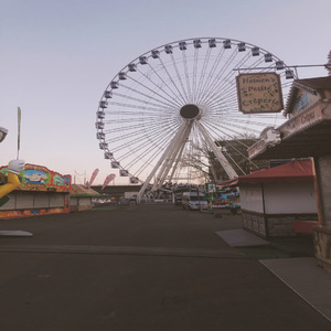 IZOK (P DIGGEDY REMIX)