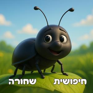 חיפושית שחורה