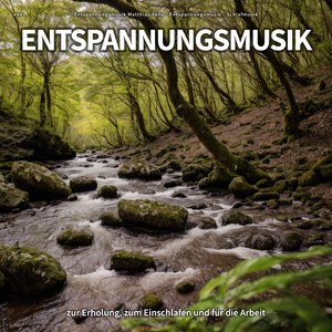 Entspannungsmusik unter Tulpen