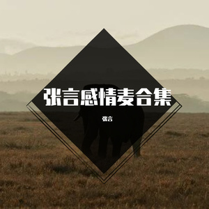 徐小燕-配角（张言 / 徐小燕 remix）