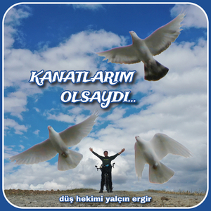 Kanatlarim Olsaydi